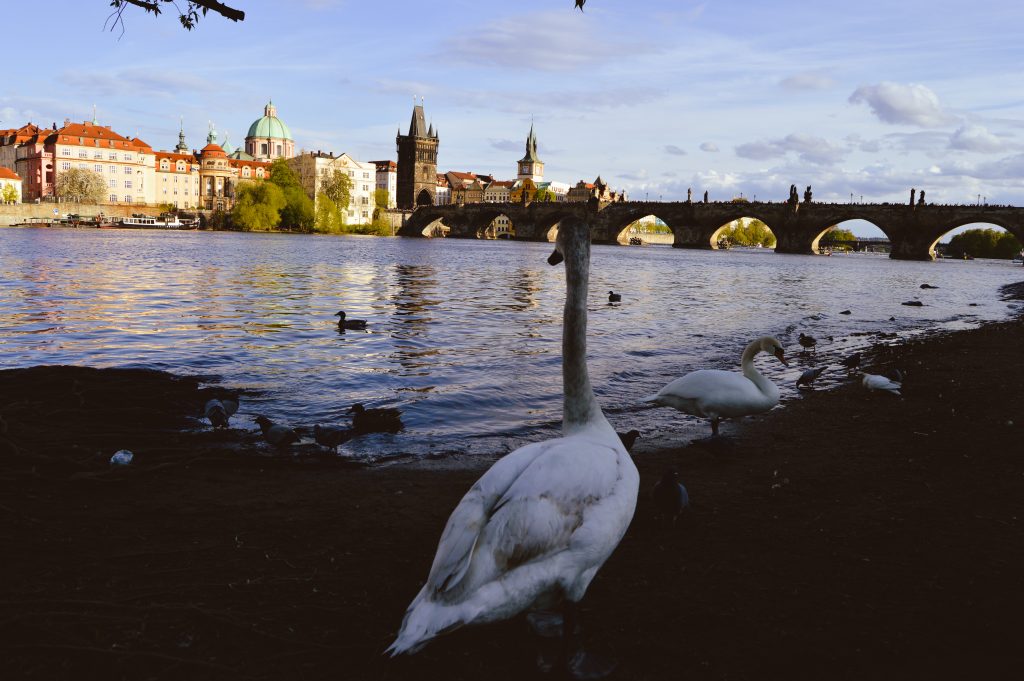 The bridge, Prague