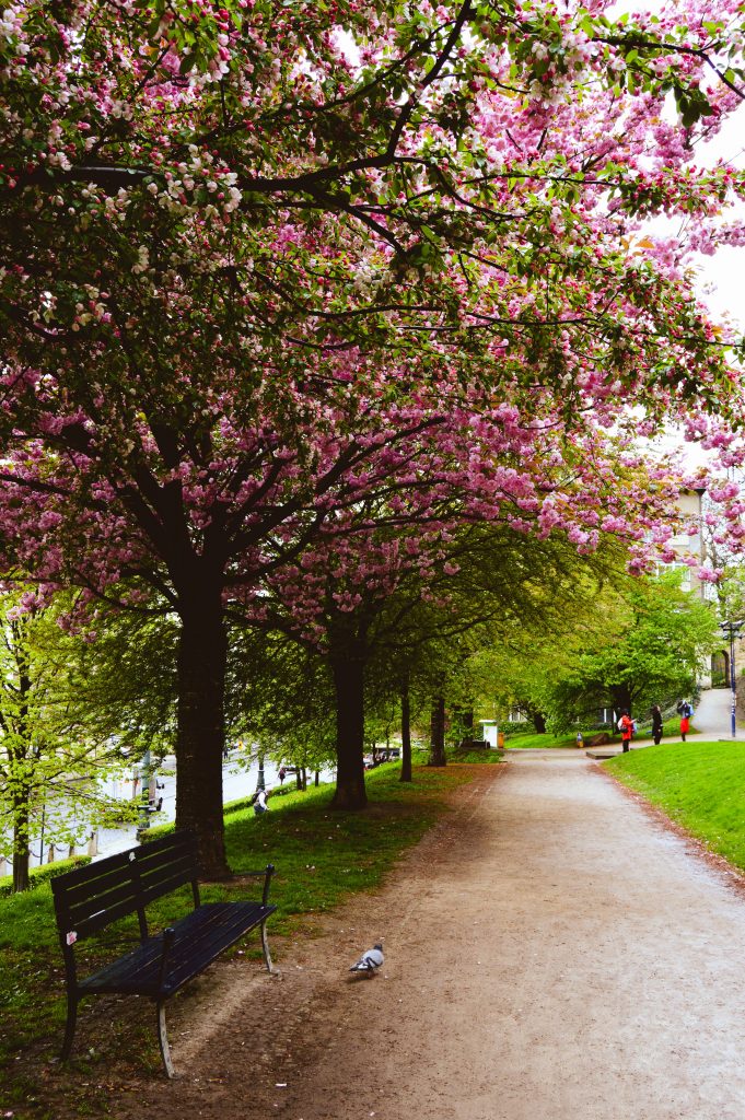 Spring in Prague