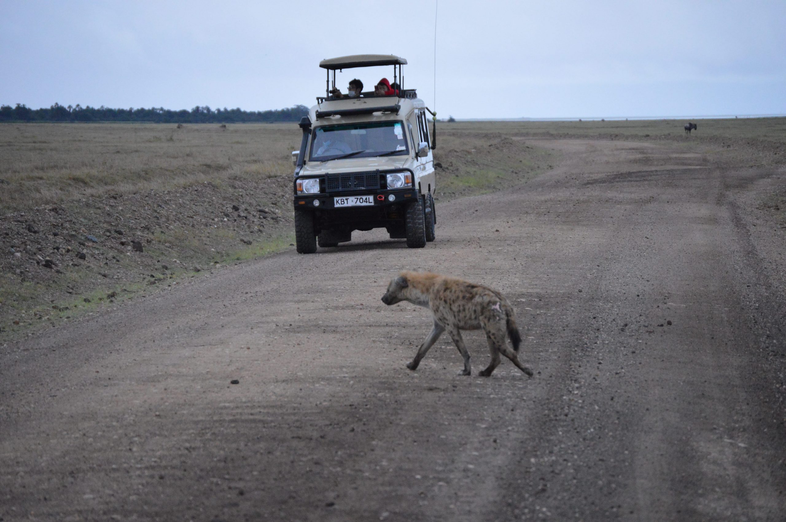 safari company, Kenya