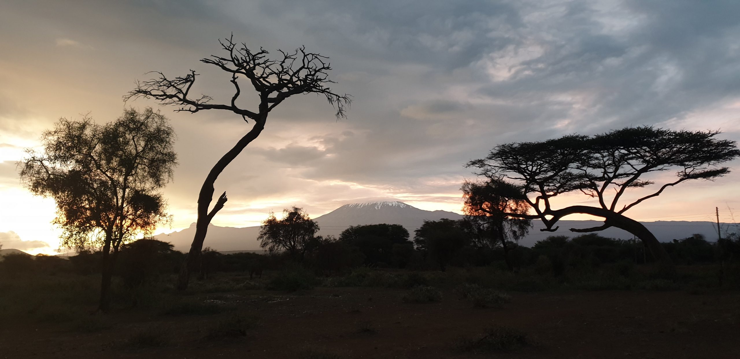 Amboseli, Kenya